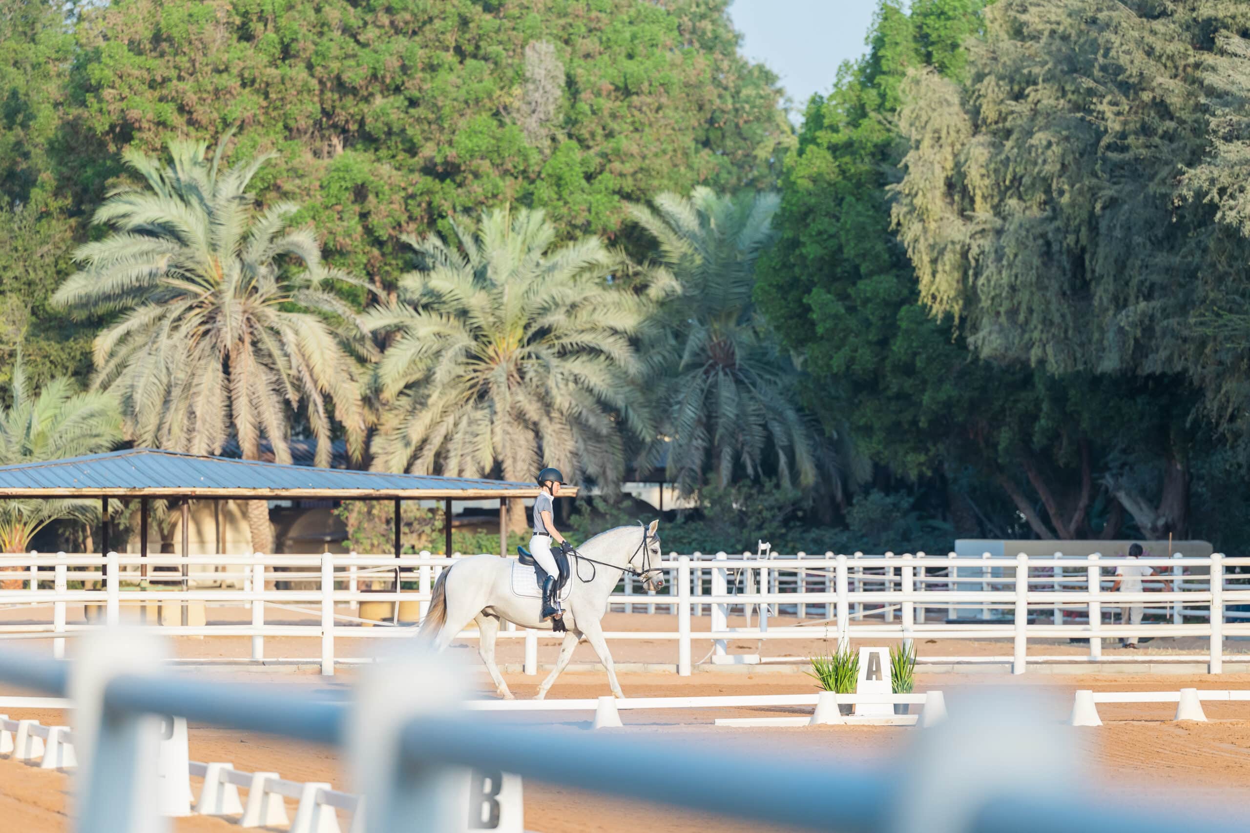 Tips and Techniques for Equestrian Portraits, Dressage, Show Jumping, and Horse Racing Photography