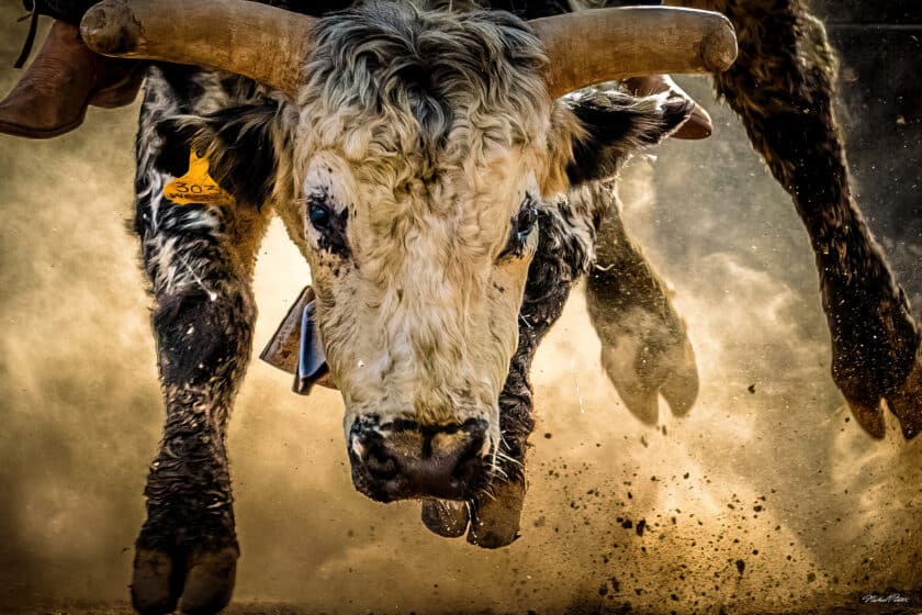 Pro tips on rodeo and western photography from PRCA photographer Michael Pintar.